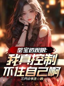 透视眼鉴宝赌石排行榜