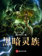 黑暗灵族方舟