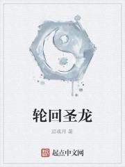 轮回圣皇境界划分