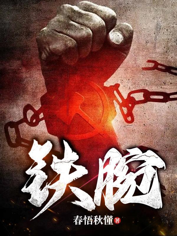官场铁腕书记