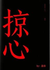 掠心夺情
