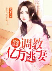 恶魔总裁的逃妻司徒