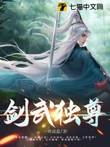 武剑至尊