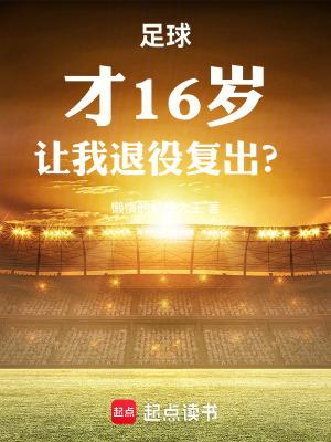 足球才16岁让我退役复出在线阅读