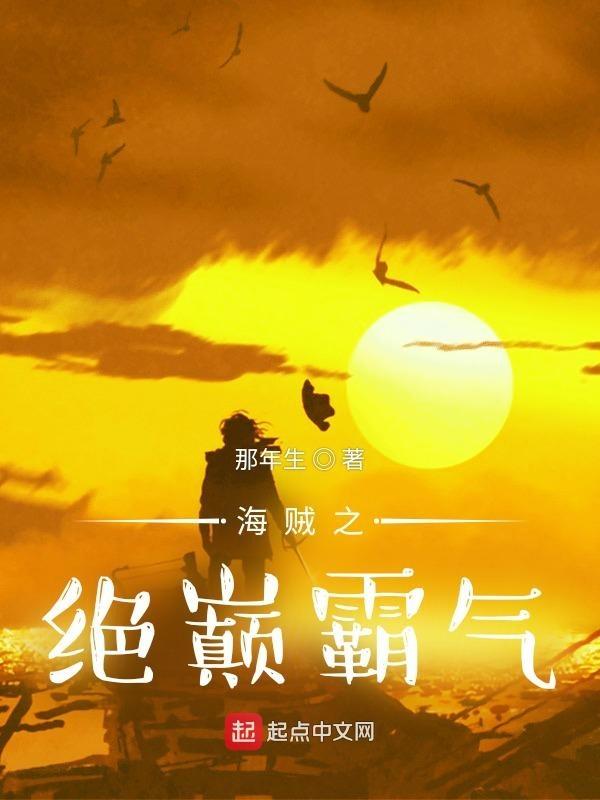 海贼 之