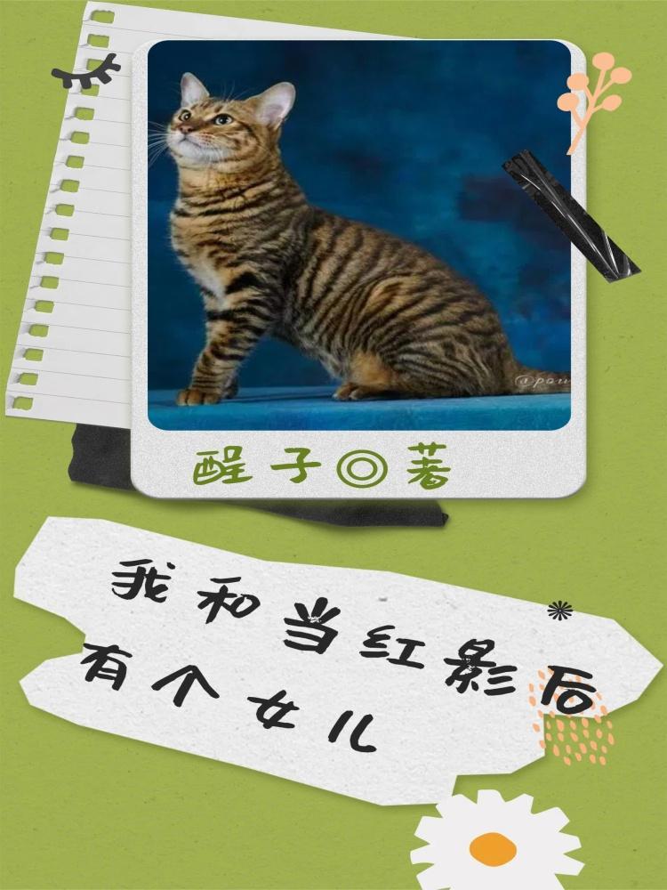 我和当红影后有个女儿在线观看