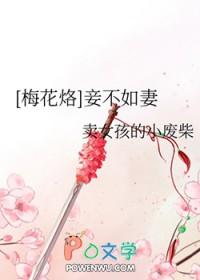 妾不如妻全文