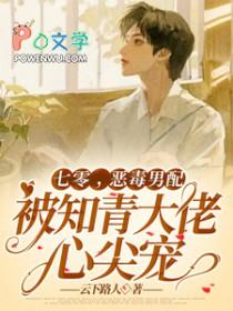 恶毒男配被知青大佬心尖宠(云下路人)晋江