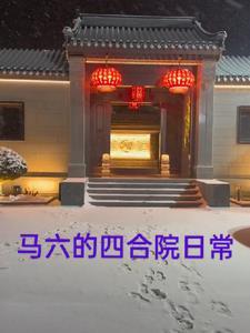 马六是神车吗