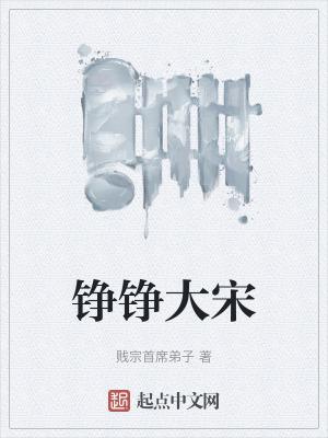 铮铮大宋无弹窗