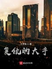 复仇高手