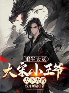 天龙之大宋小王爷txt