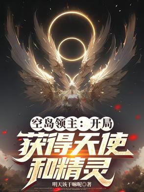 我的世界之空岛领主