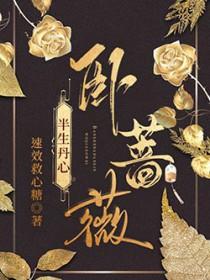 半生丹心卧蔷薇 速效救心糖