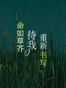 命如草芥出处