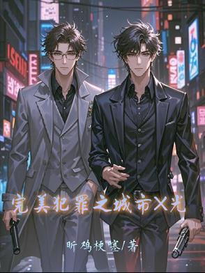 完美犯罪10集