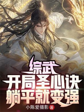 武侠之开局圣心决