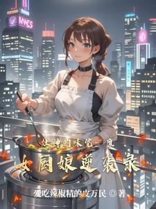 灶神之妻简介