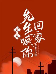 傅太太无弹窗全文