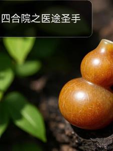 四合院国医圣手