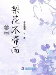 梨花落雨的典故