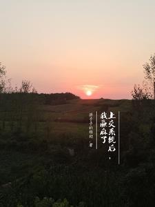 我被系统坑成神