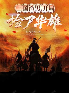 三国开局捡了个大便宜作者夜勤