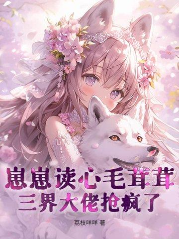 崽崽