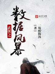 武侠数据流的