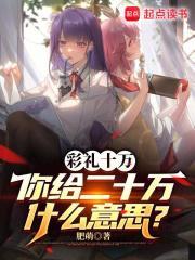 你给二十万什么意思呢