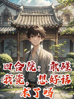 四合院啥意思啊