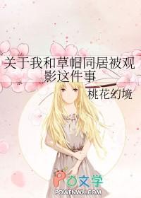 海贼草帽