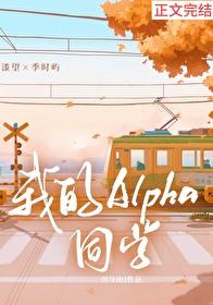 我的alpha阅读
