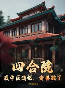 四合院开局满级医术妙笔阁