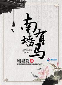 南墙含义