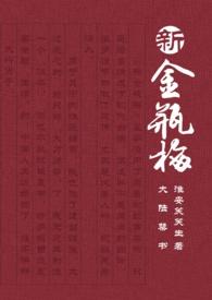新 金 瓶 梅 5集在线