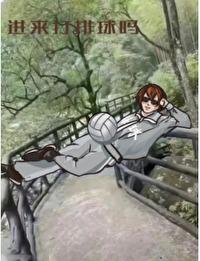 综漫排球排球