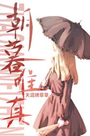 朝暮唯真免费阅读