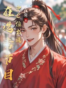 从选秀节目出道的