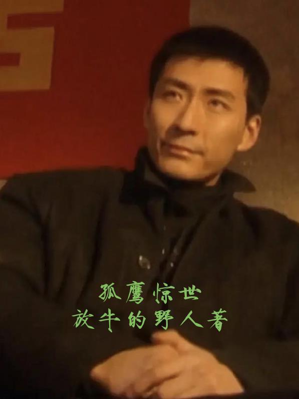 孤鹰 改编电视剧