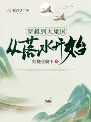 穿越到大梁国从落水开始TXT免费