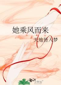 她乘风而来gl
