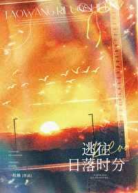 逃往日落时分晋江