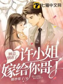 顾总别虐了许小姐嫁给你哥了txt
