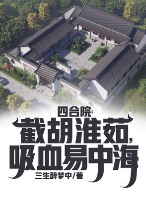 四合院老洋房
