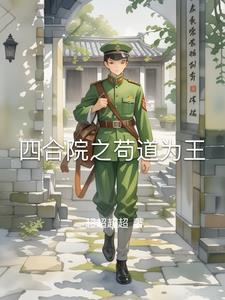 四合院里的小黑手元