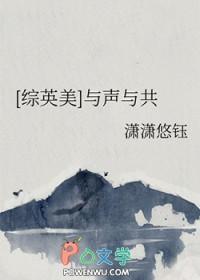 综英美与声与共205