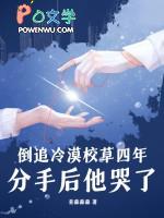 分手后他哭了晋江