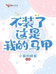 这马甲我不披了番外