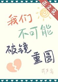 我们不可能破镜重圆by葫芦酱讲的什么